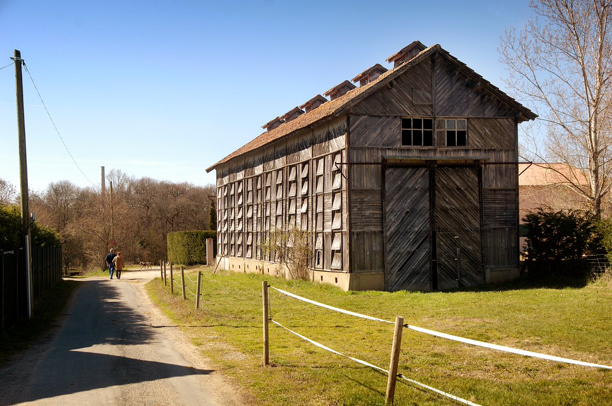 #SortieWeekEnd Envie de vous dégourdir les jambes ce week-end ? (Re)découvrez les #balades en #Albigeois ! Un réseau de 20 itinéraires facilement accessibles à pied ou à VTT autour de chez vous ! 🚶🚴
👉 +INFOS : bit.ly/baladesEnAlbig…

#GrandAlbigeois #GrandAir