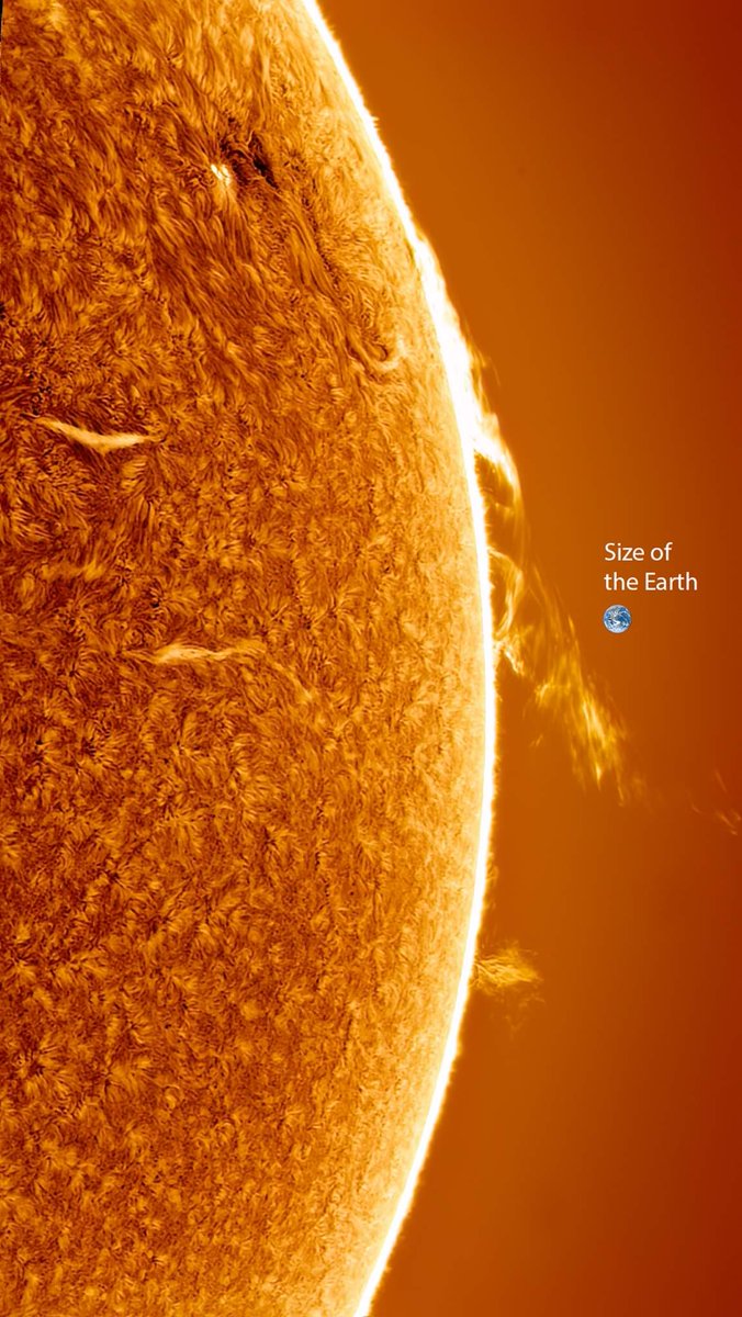 DavidUllrich202's tweet photo. The sheer size of our host star.

Photo courtesy of  Robert Schumann https://t.co/Ltnd22ksDt