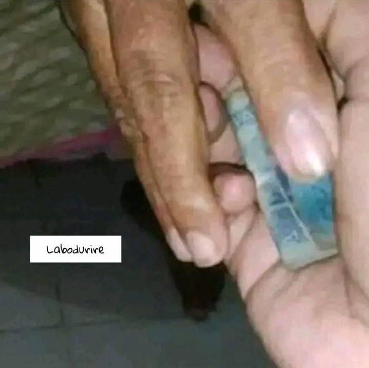 landdy237's tweet photo. Quand ma grand mère voulait me donner de l’argent 
Elle : https://t.co/msXr4neN63