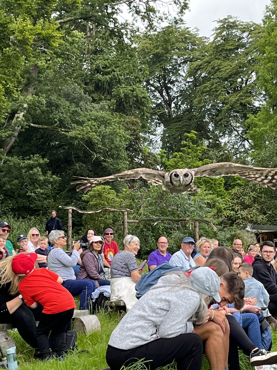 gemtrainor's tweet photo. Fantastic bird of prey display at @MuncasterCastle today! Everyone thoroughly enjoyed it https://t.co/TJBCWuVNgB