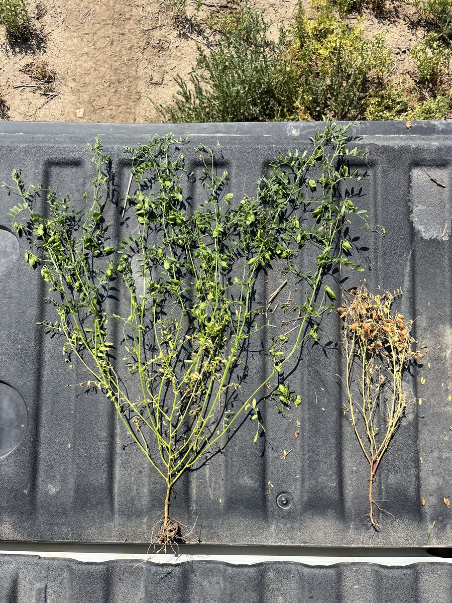 Mike Palmier tweet media