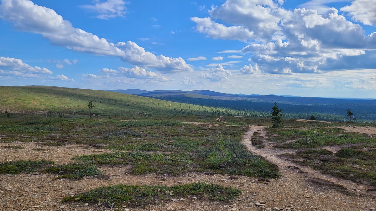 Lappi - viihdyn, kesät talvet. 
Jalat puhki, melkoisen väsynyt, mutta hymyilen 😊 Kiva kun pystyy suunnistamaan.
Kiitos <a href="/_Liikup/">Liikup</a> <a href="/routamap/">Routamap Oy</a> #LaplandOWeek #Saariselkä
