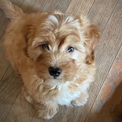 cull_collin's tweet photo. #NewProfilePic https://t.co/Nj361vS127