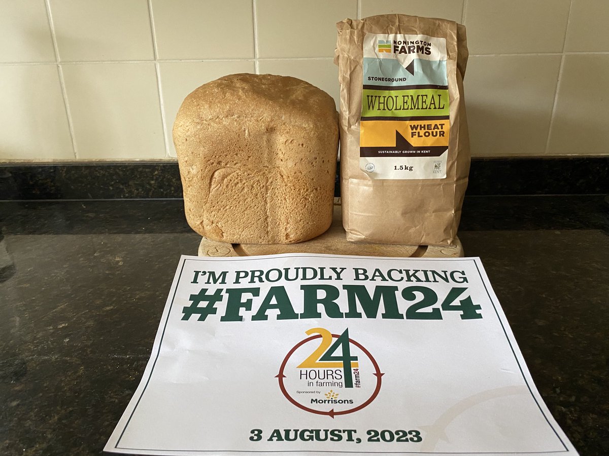 NoningtonFarms's tweet photo. #FARM24 ⁦@FarmersGuardian⁩ ⁦@Morrisons⁩ Too wet for combining today so milling our own wheat &amp; making #bread #homeproduced ⁦@ProducedinKent⁩ #backbritishfarming https://t.co/iz1h9xNJ60
