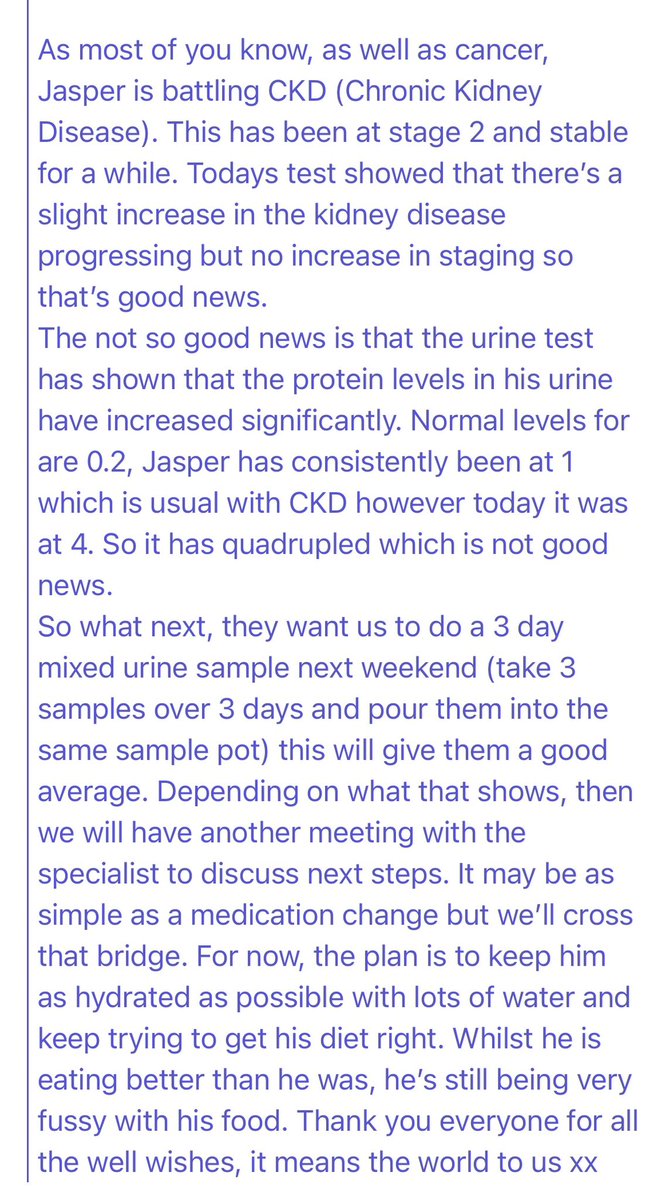 Vinnie & Toby❤️ Jasper🌈 Hartson🌈 tweet media