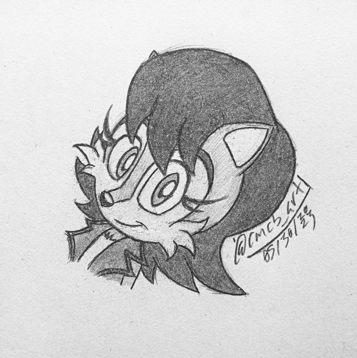 Sally headshot or whatever.

#SonicTheHedgehog #SallyAcorn #Sega #ArchieSonic #SonicSatAM