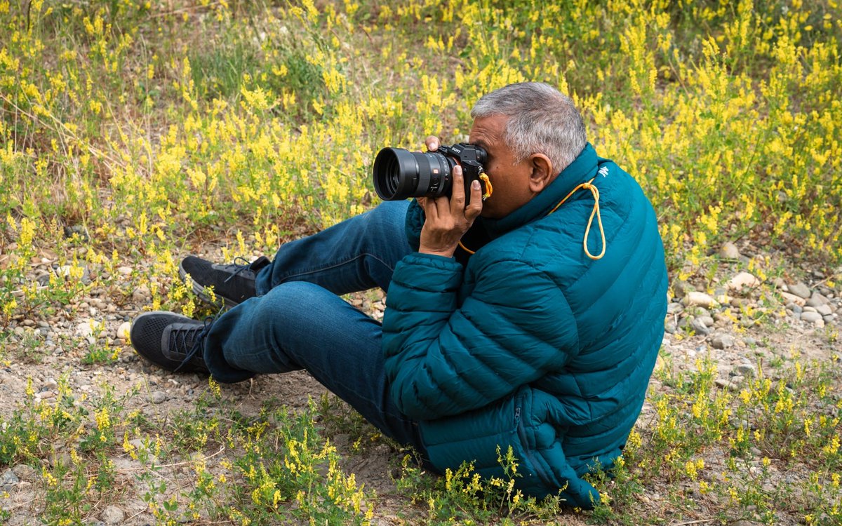 DenaliPhotoTour's tweet photo. Wildflowers are here! 🌼 🌺 🌸 And we love to see your creative positions to capture these beauties 🤩 . 

#denaliphotoguides #lightwranglers https://t.co/DCJICQiLRF