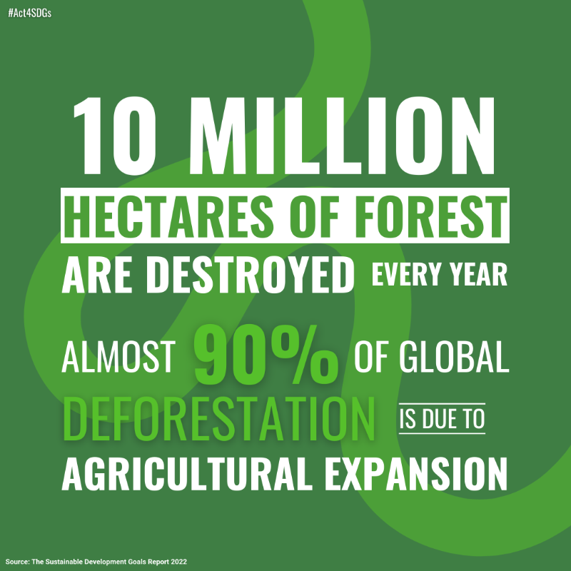 The <a href="/GlobalGoalsUN/">Global Goals</a> 2022 report reveals an alarming trend: global forest cover has been in decline over the last two decades.

UNITE to #Act4SDGs to protect ecosystems #ForPeopleForPlanet: act4sdgs.org

#GlobalGoals

Via <a href="/UNEP/">UN Environment Programme</a>