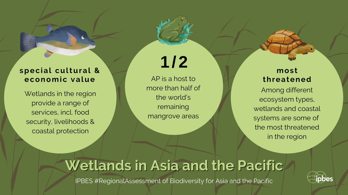 UN Biodiversity tweet media