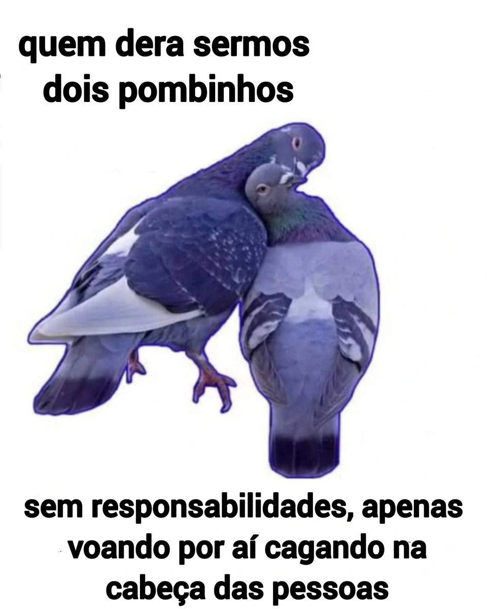 liberdade é isso