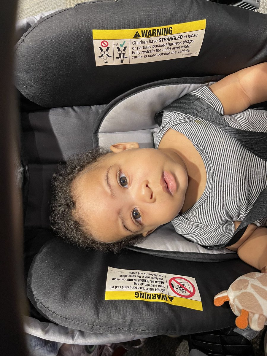 x ambassador tweet media