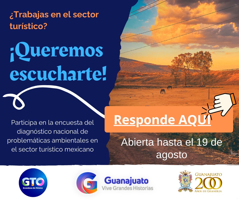 Observatorio Turístico del Estado de Guanajuato tweet media