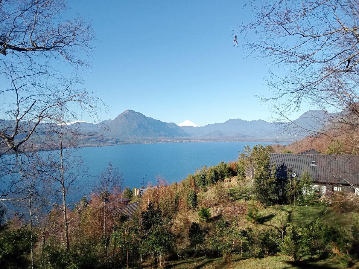 maury_colly's tweet photo. Hermoso día en el Lago Calafquen Sur de Chile 🦜 https://t.co/0bwqRDFK1H
