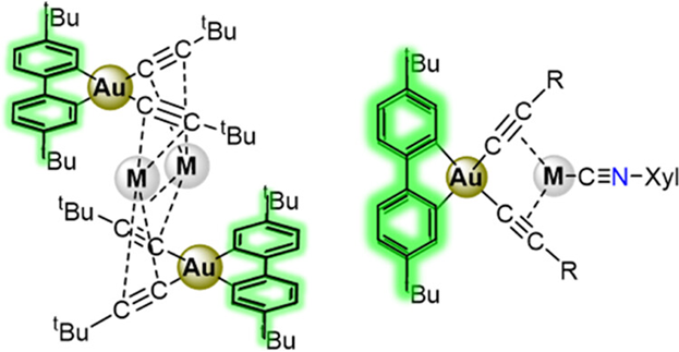 InorgChem's tweet photo. Luminescent Au(III)-M(I) M= Cu, Ag Aggregates Based on Dicyclometalated Bis(alkynyl) Gold Anions, by Lara, @rjrama2, Chambrier, Agonigi, Hughes, @LalindePea, @BochmannGroup, @JulioFern81, shows rich structural features with bright phosphorescent properties https://t.co/MF2KKHh8b8 https://t.co/hh3IeSNU6c