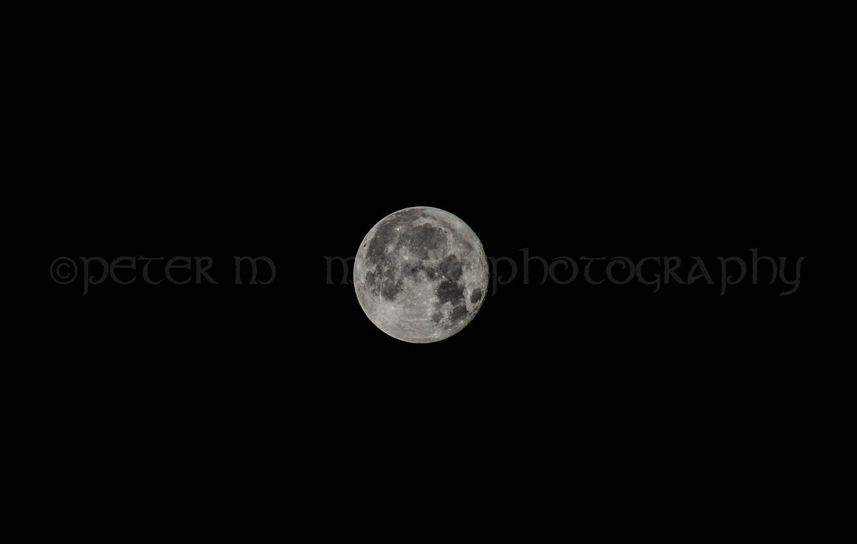 Beautiful Moon last night The Full Sturgeon Moon! Here are some of the shots I've so far been able to edit. The energy from it was amazing! #supermoon #fullmoon #sturgeonmoon2023 #texas