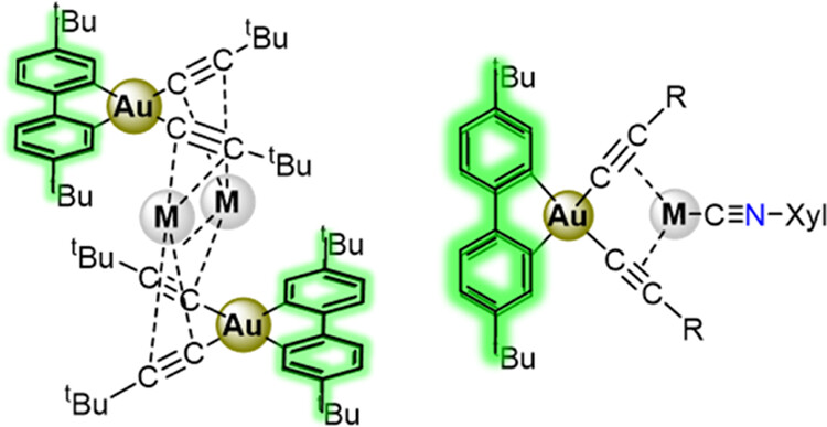 bhkenlo's tweet photo. Luminescent Au(III)–M(I) (M = Cu, Ag) Aggregates Based on Dicyclometalated Bis(alkynyl) Gold Anions | Inorganic Chemistry https://t.co/3CbJymSVmD Fernandez-Cestau and co-workers @InorgChem #gold_III #copper_I #silver_I #aggregates #alkynyl #phosphorescence #3IL https://t.co/Ulot0BYojC