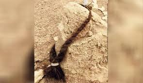 Nayera_Rojbin's tweet photo. #3agosto 2014
l'#ISIS attaccò gli #ezidi di #Şengal massacrando migliaia di uomini e facendo schiave migliaia di donne e bambini. 
Chi ha difeso e liberato #Shengal è minacciato e attaccato da mandanti e responsabili del genocidio con la complicità di chi continua a tacere! https://t.co/qgJT9qQT53