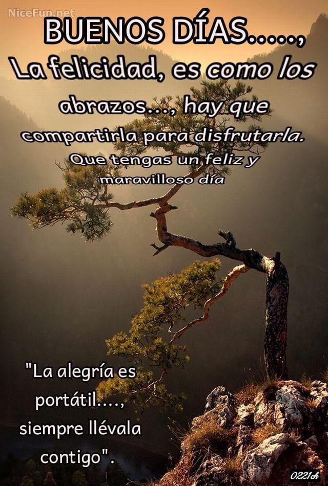 SandroBellostaMarcussi (@marcussisa19659) on Twitter photo 