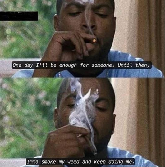 Stoner Tweets tweet media