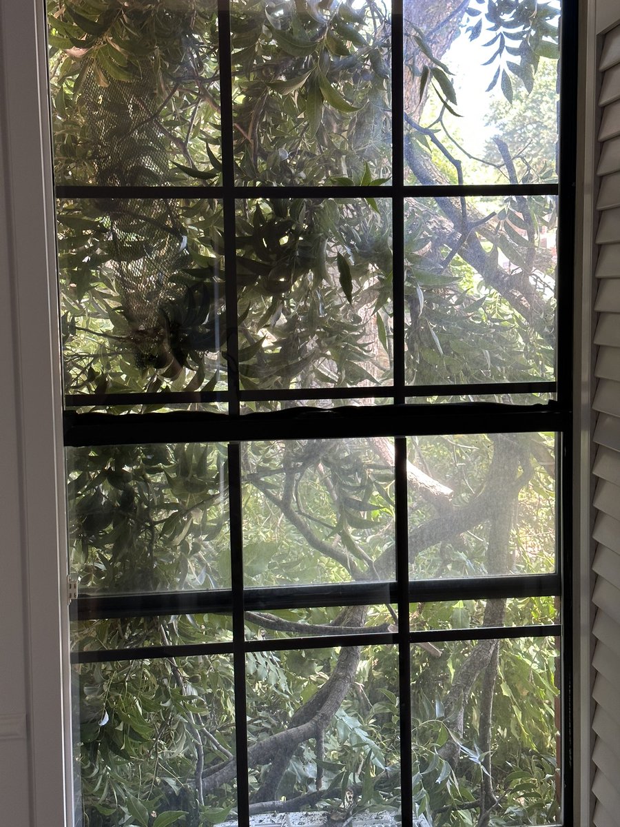 Jessica Hansen tweet media