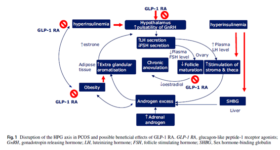 sociedadSEEN's tweet photo. 📌Liraglutide and polycystic ovary syndrome: is it only a matter of body weight?

👉 Hay algunos aspectos del #GLP1 +allá de la ↓peso, como los efectos del GLP1 en la modulación del eje HH-gonadal o en la expresión  del #hiperandrogenismo

https://t.co/fhMTEhLPds
@ObesitySEEN https://t.co/zDN2EjPs5p