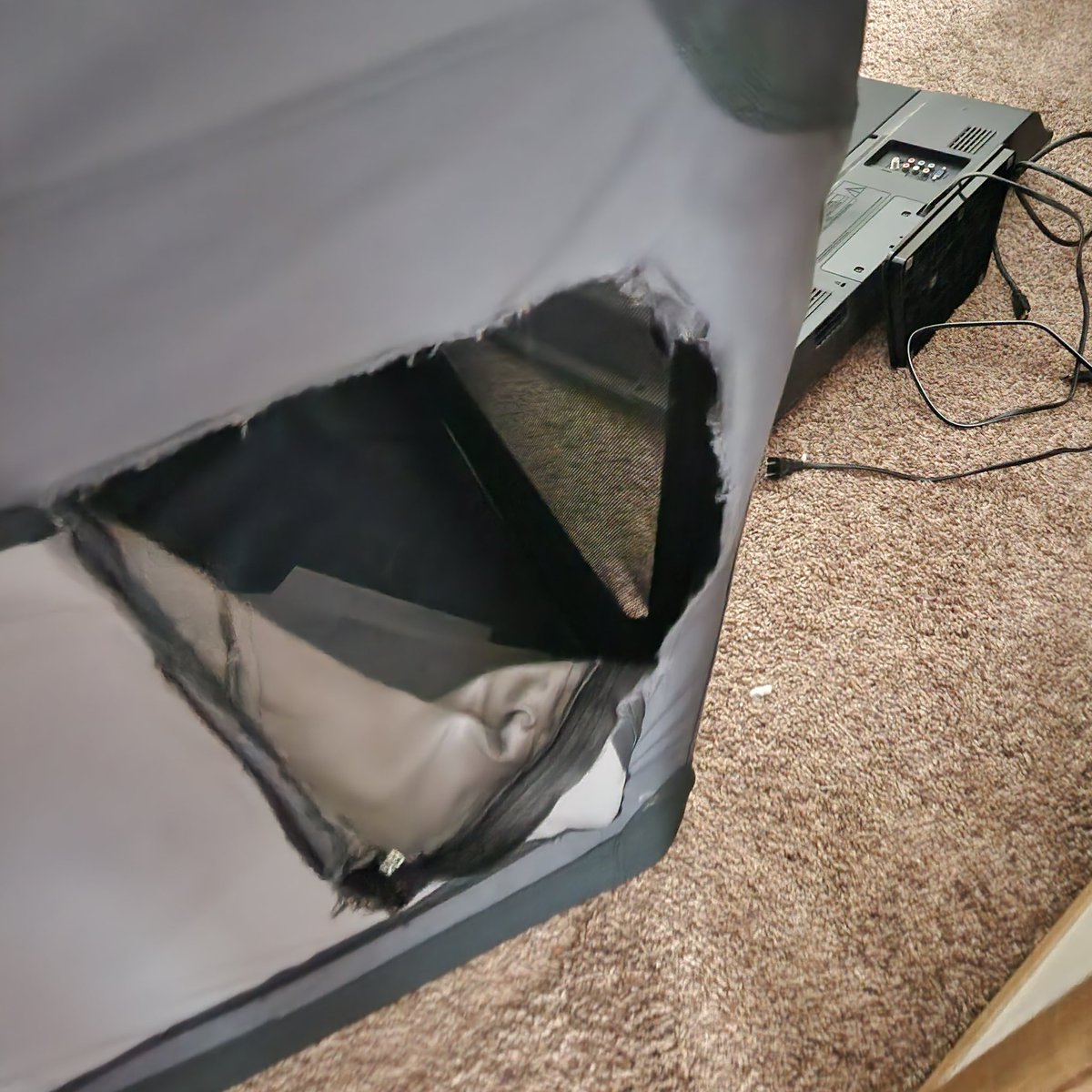 CoachTrot's tweet photo. For all of you that were worried about Clyde. He's fine🤦🏿 #DamnDog #HellofaDay #ConeofShame https://t.co/FxqIT0ESdr