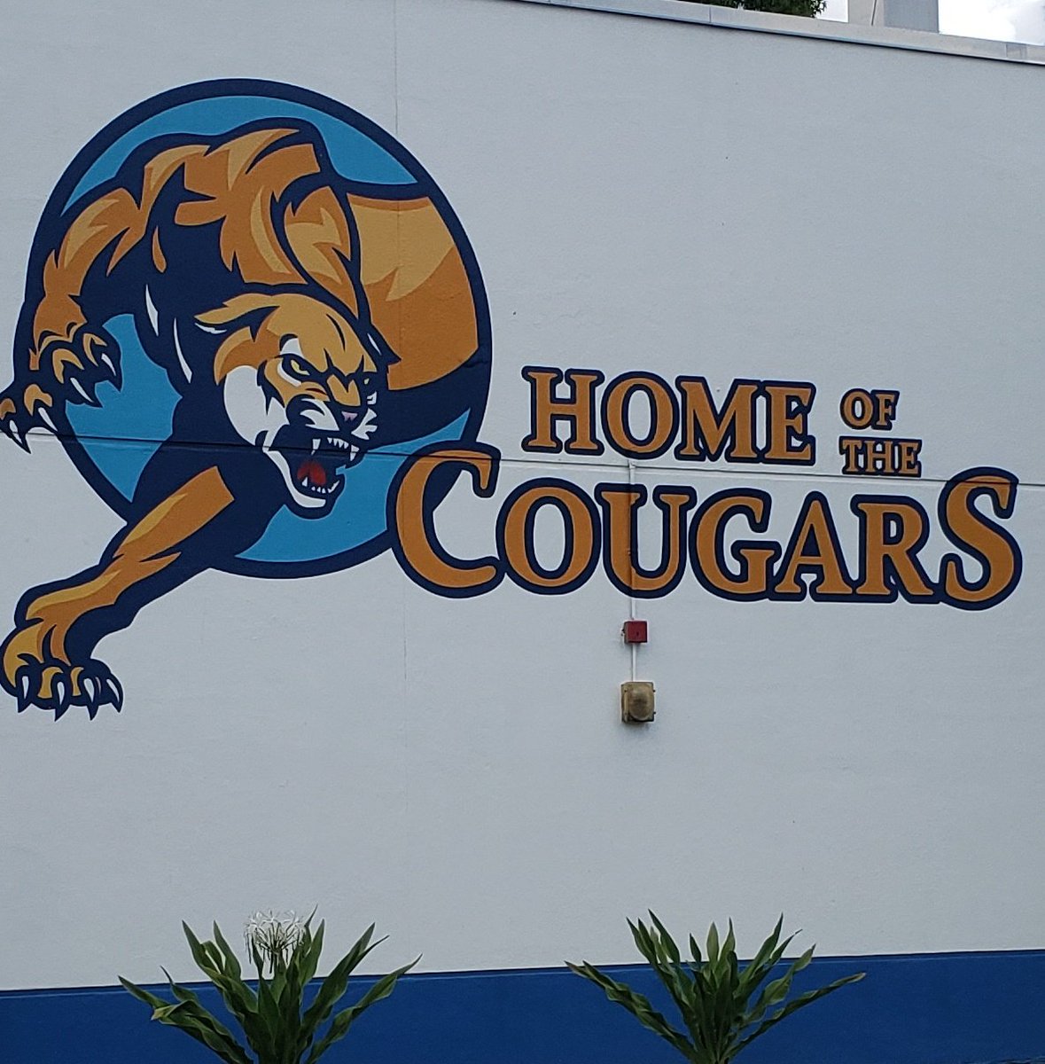 Thank you <a href="/rubendariomcs/">Rubén Darío Middle School</a> for hosting today's #MDCPSSTEAM teacher training. Hands on learning! <a href="/STEAMDesignated/">STE(A)M School Designation</a>