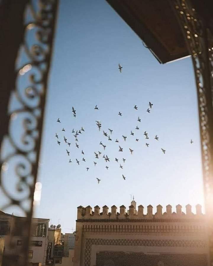 Balaghl's tweet photo. «وإذَا لَيلُ الخَمِيسِ طَارِفُهُ بَدَا
زِد بالصَلاةِ على الحَبِيبِ مُحَمّدَا» https://t.co/8eWWj3iTZH