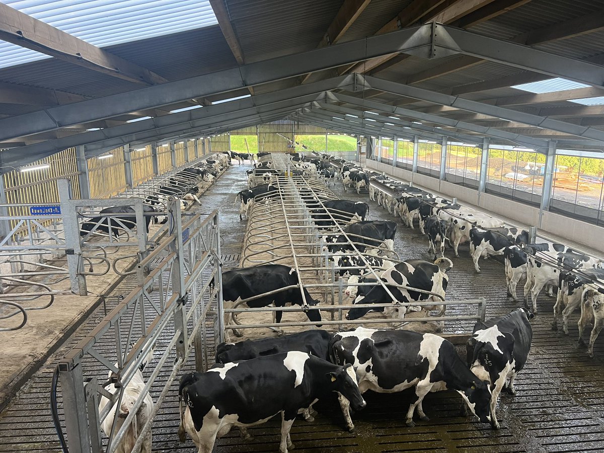 ๐ด๓ ง๓ ข๓ ณ๓ ฃ๓ ด๓ ฟANDREW PATERSON๐๐โค๏ธโ๏ธ tweet media