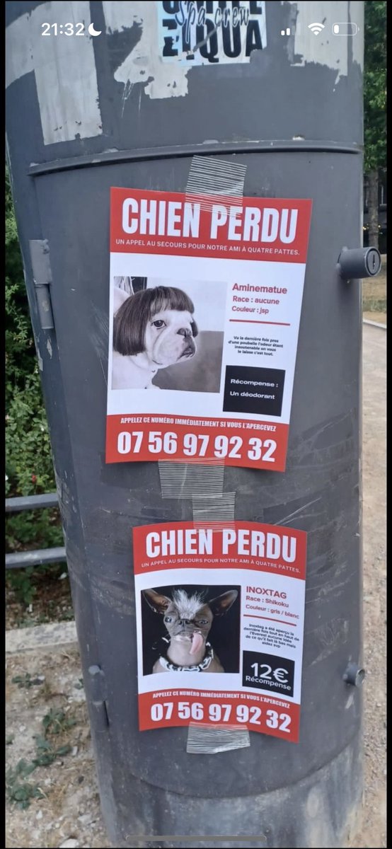 Dites moi que c’est un troll j’vous en suppli 😭😭