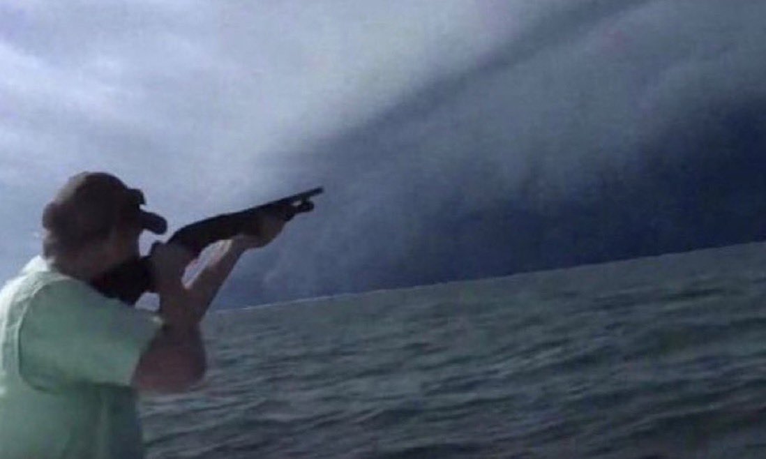 Alan Carroll tweet media