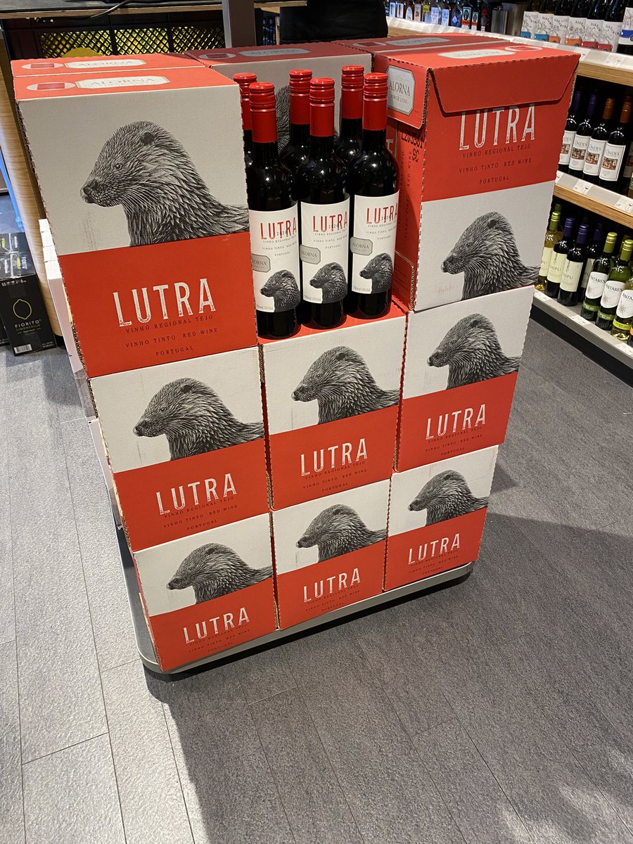 OtterFr's tweet photo. 🦦🍷 #otters #lutra #loutre #otter #wine #winetasting https://t.co/lSAoab99Qg