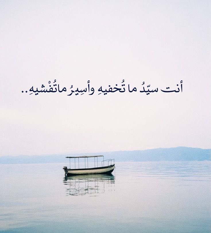 فكرة tweet media