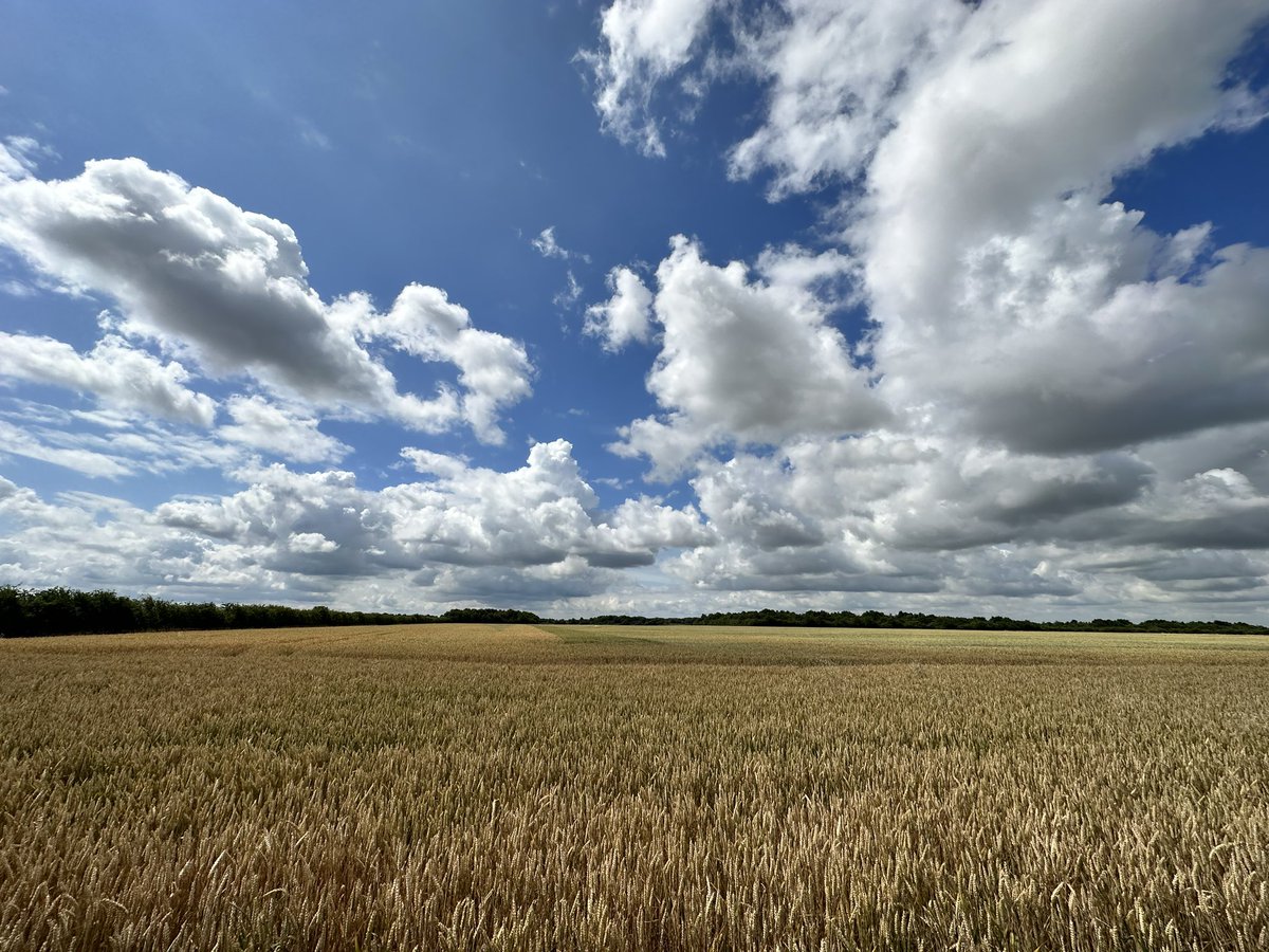 BeeConnected_UK's tweet photo. Farmers are the backbone of our food supply, working tirelessly around the clock to feed the UK 🌽🚜. Let's take a moment to appreciate their dedication and hard work. Remember, every bite you take has a story of a farmer's unwavering commitment behind it #Farm24 https://t.co/JTWkfE9RSl