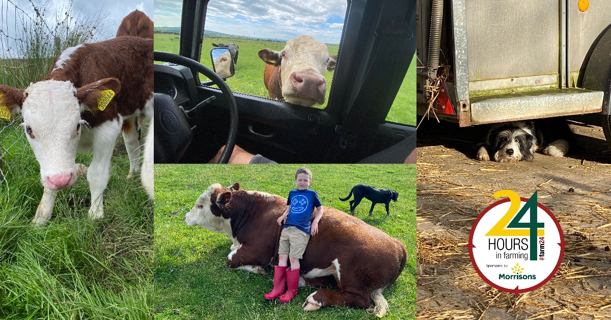 One of our Directors <a href="/IanBrown_DC/">Ian Brown</a> shares his day on the farm, proud to support #FARM24

"Farming’s not just a job, it’s a way of life, a great contrast to software development #keepsmesane"