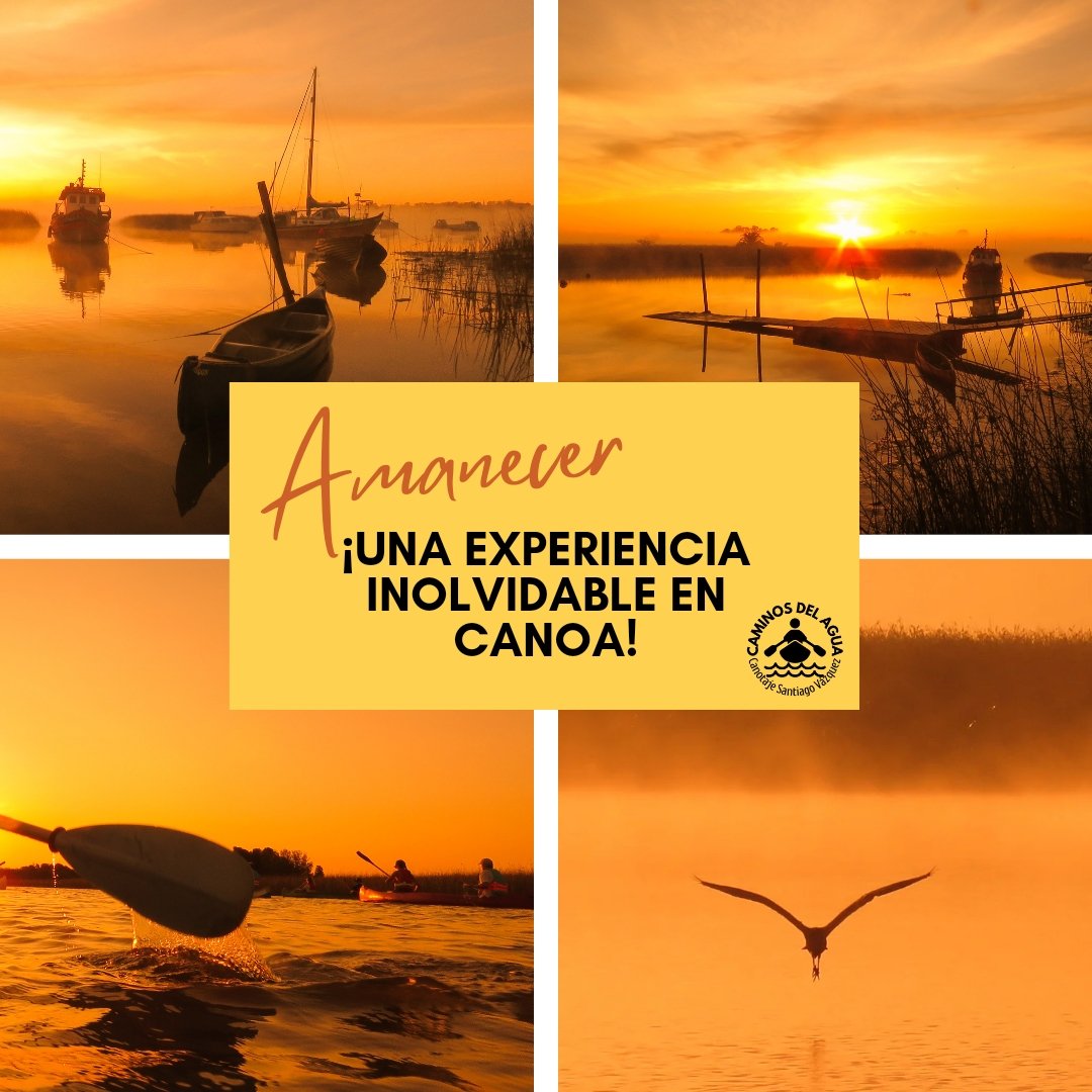 CaminosdelaguaU's tweet image. Amanecer. 🌅🔥🧡
Una experiencia inolvidable en Canoa. 🚣‍♀️🚣🚣‍♂️ Humedales del Santa Lucía. 🌾🌿🌱🐾🦀🍃🐦

Santiago Vázquez.
Barra del Santa Lucía

#OestedeMontevideo #Paseos #Montevideo #Uruguay #TurismoAventura #Turismo #DescubríMontevideo #ConectaconlaNaturaleza #UruguayNatural