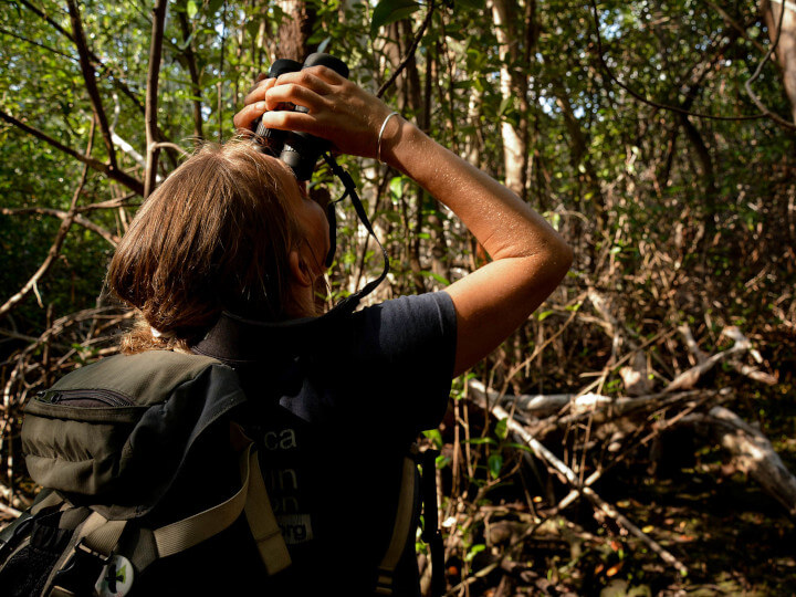 DarwinFound's tweet photo. We are looking for a Principal Investigator for our Mangrove Finch Conservation project!
If you are a professional with relevant experience, this is your opportunity to contribute to Galapagos.
For more information, click here: https://t.co/6Oz90K3UIZ
📷Juan Manuel García/CDF https://t.co/n3Z1kYvyfq
