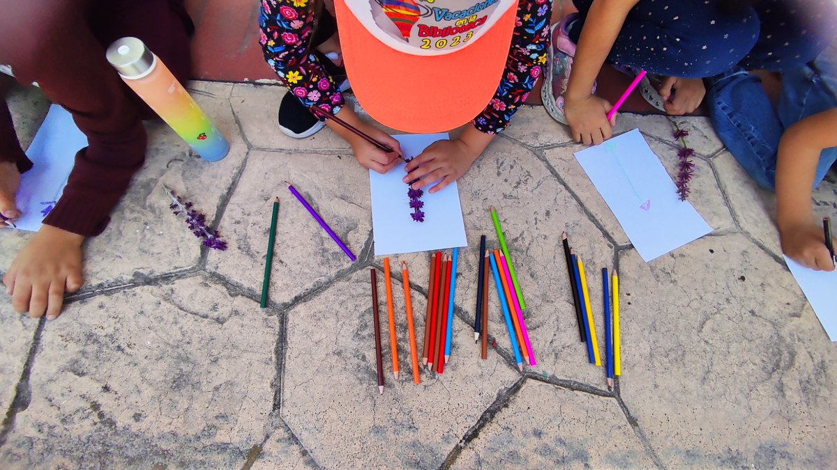 AmbienteEdomex's tweet photo. Para conocer más de las plantas presentes en los Jardines de Refugio para Polinizadores del #ParqueAmbientalBicentenario, la #CGCE de la #SMAGEM imparte el taller "Ilustración botánica” a niños del curso de verano organizado por la Biblioteca Pública Centenario de la Revolución. https://t.co/UgGGlMUrjt