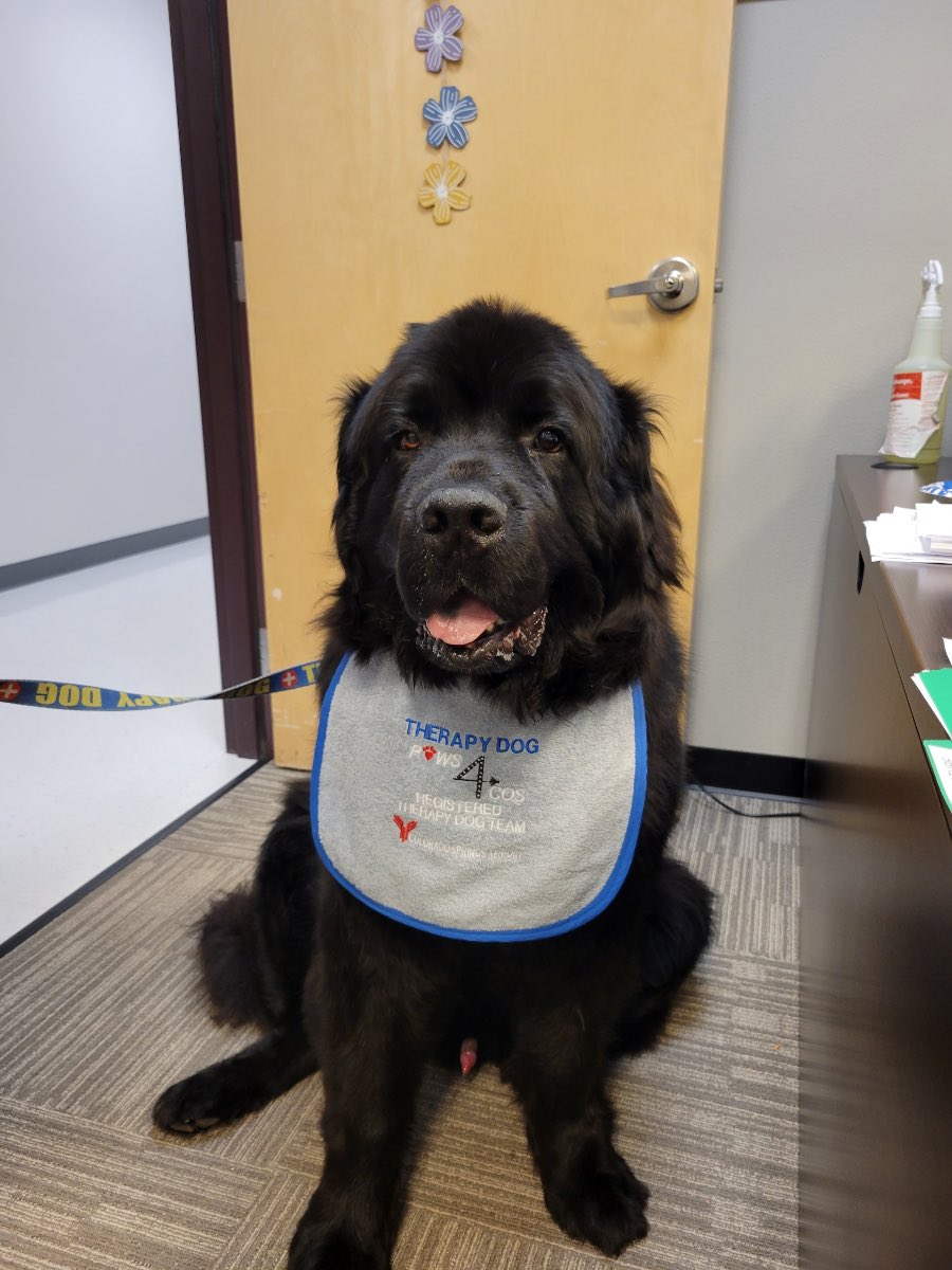 COSAirport's tweet image. 🐾 We love when our furry friends in our #PAWS4COS program stop by! 

🐕 Boomer stopped by for a few pets and ear scratches today!