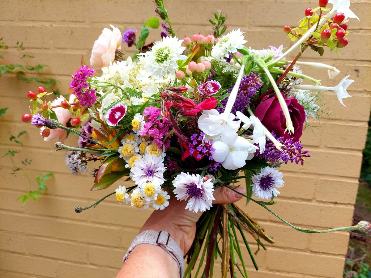 Floral joy on this miserable day
#FlowersOfTwitter 
#britishflowers