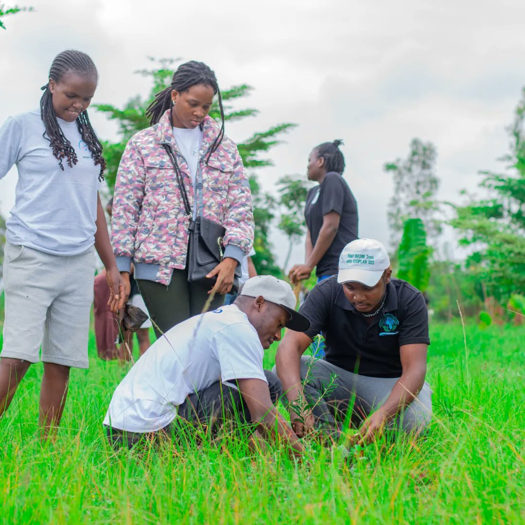 taka_kazi's tweet photo. 🌳🌱 Shoutout to Nairobi's Young Eco-Warriors! 🌱
🙌🏽 Environmental activists and tree-planting champions for making a difference in your communities 🌍🌳Thanks for your participation in the #Taka47Campaign #SDG ‘s #protecthumanity #savetheplanet #cleanconserverecycle #GreenBees
# https://t.co/ut3yrRGj3q
