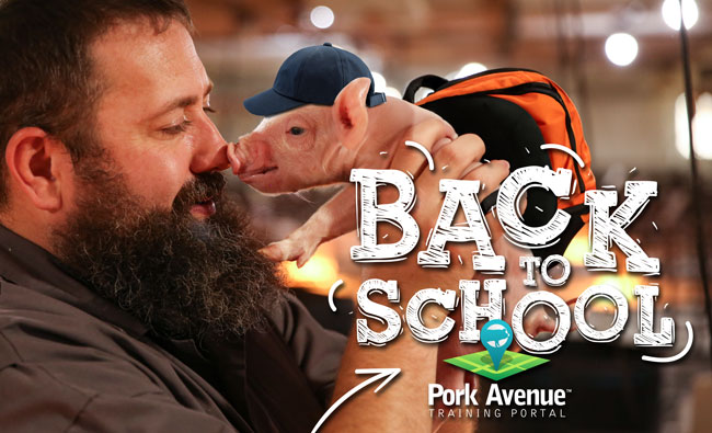 DocSarahDVM's tweet image. Do pigs go back to school? 🏫 - mailchi.mp/porkavenuetrai…
