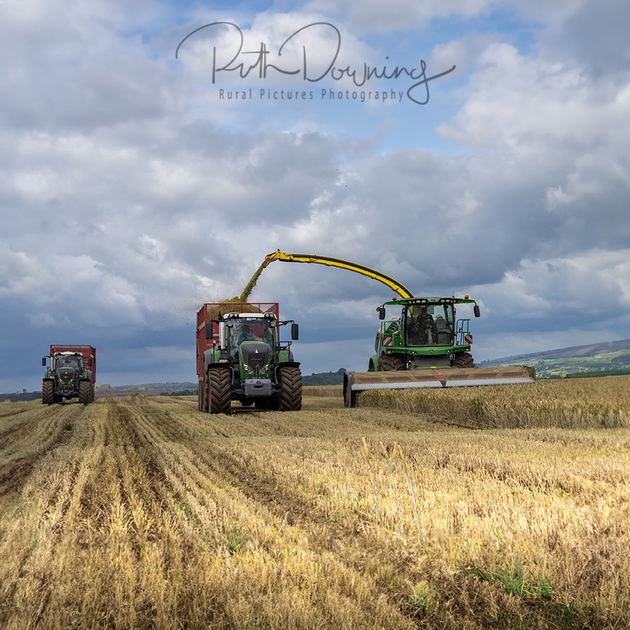 Harvesting whole crop as storm clouds gather again over farmland in Staffordshire 
#Farm24 #Harvest23 #britishfarming 
<a href="/JohnDeere/">John Deere USA</a> 
<a href="/Fendt_UKIreland/">Fendt UK & Ireland</a>