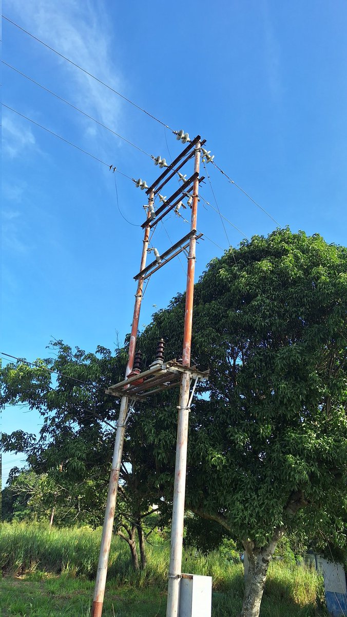 🐐🧀☕Gustavo E Nouel B🐏 tweet media