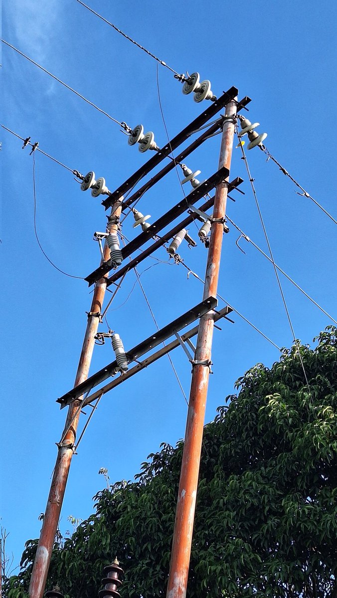 🐐🧀☕Gustavo E Nouel B🐏 tweet media