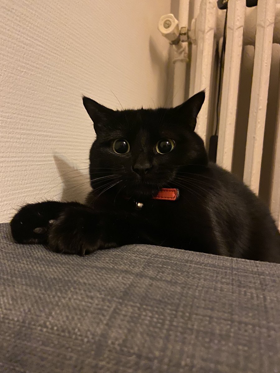 Aleexiadis's tweet photo. @thildoune @ValoniaFeline Celle là peut être 🤭 https://t.co/edCOaUK181