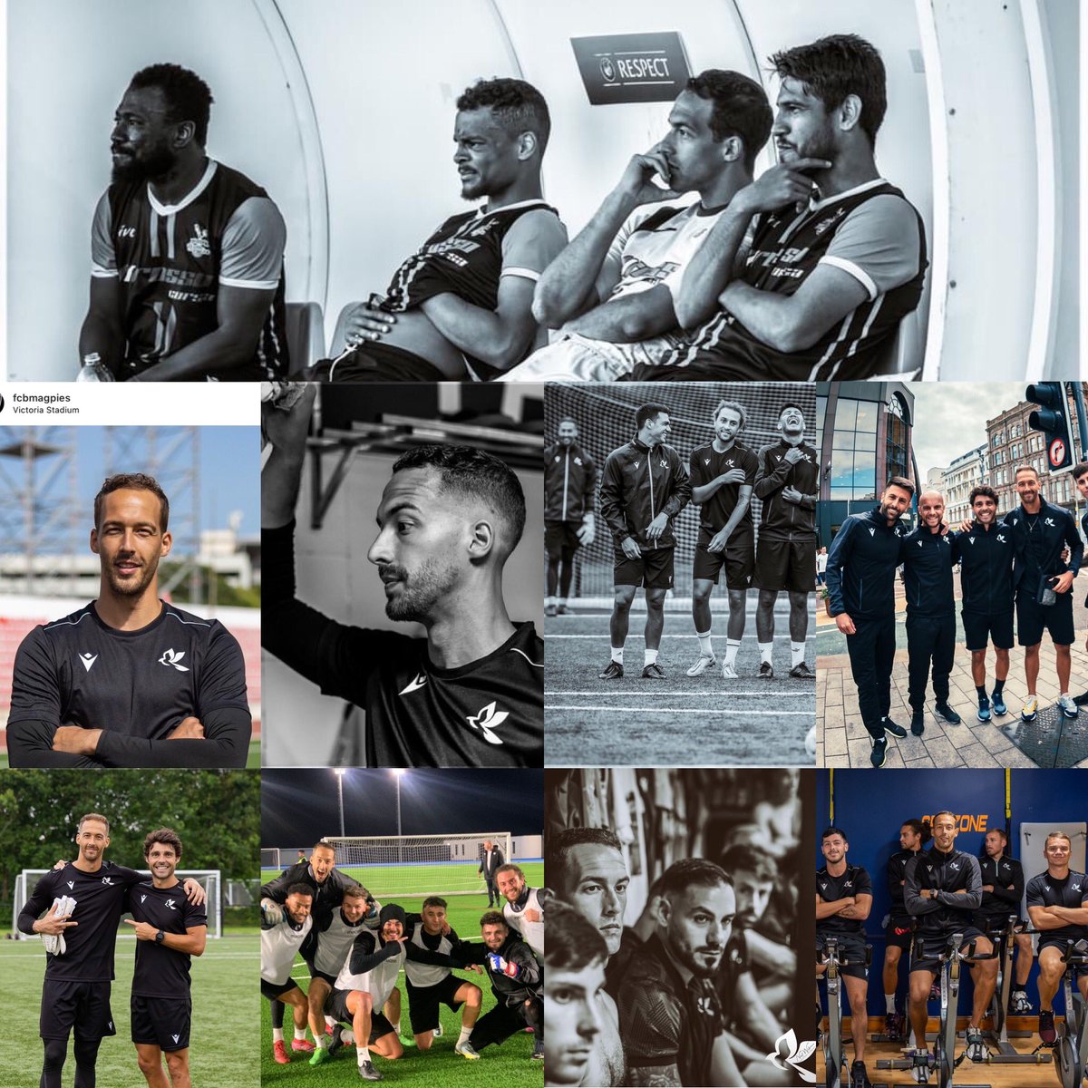 Matt Silva 🇵🇹🇨🇦 tweet media