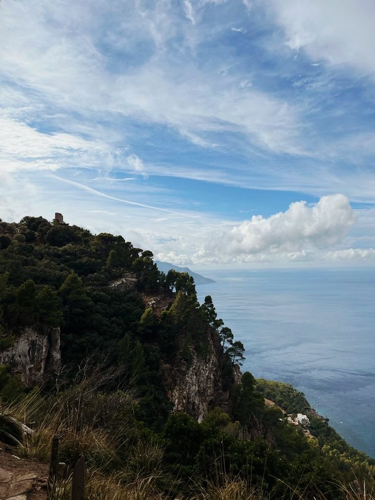 Manto172's tweet photo. Que especial es sa Serra de Tramuntana🤎 https://t.co/H6FsyHsw0G