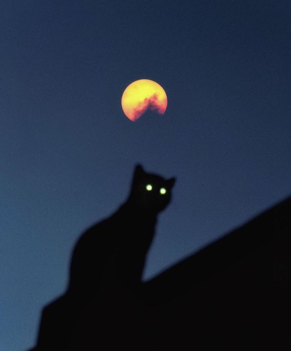 Film Craze (@film_craze) on Twitter photo 