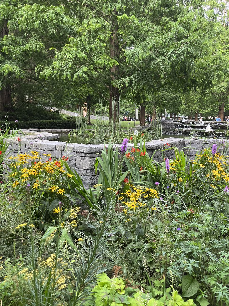 Jan Flint tweet media